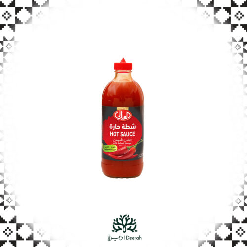 HOT SAUCE  (473g)