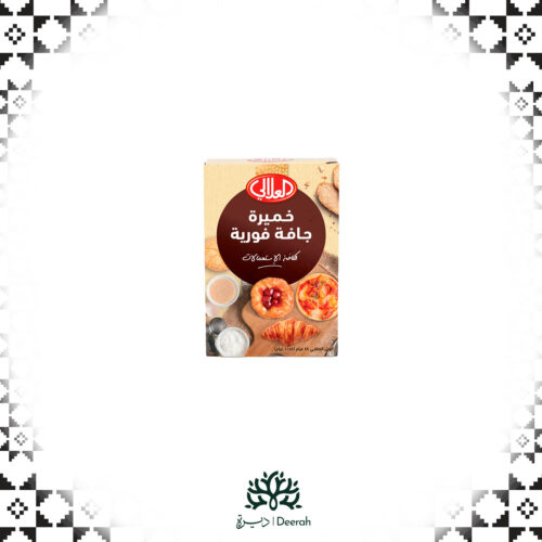 INSTANT  YEAST SACHET (11g)