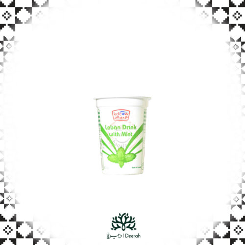 Fresh Laban Drink with Mint 200ml 24 pieces (g)
